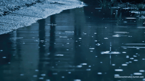 When it rains do you love it or loathe it?