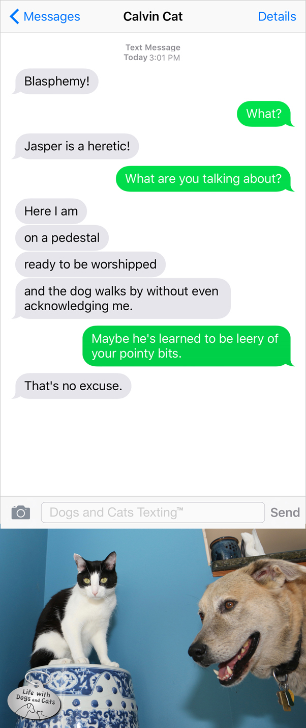 What if we still lived in an age where cats were worshipped as gods?