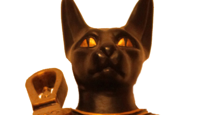 What if we still lived in an age where cats were worshipped as gods?