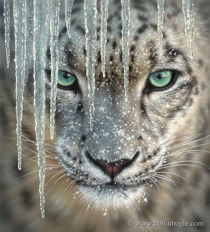 What's your favorite animal?
