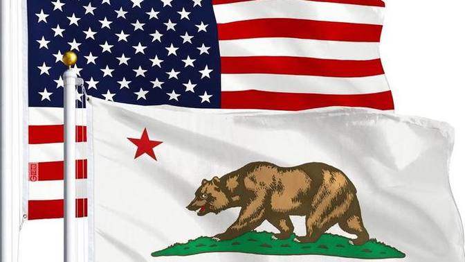 Which flag do you like more, your NATIONAL flag or your STATE/PROVINCIAL flag?