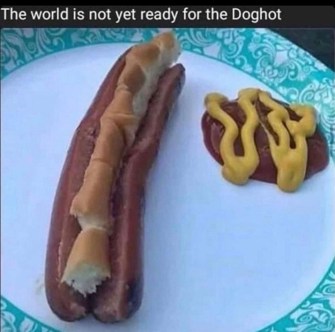 What do you think of doghots?