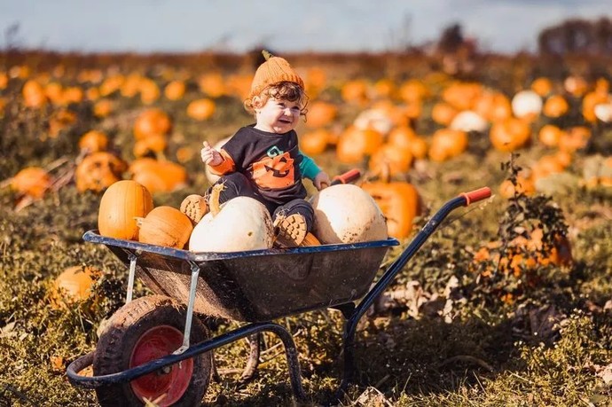 Have you ever visited a pumpkin patch?
