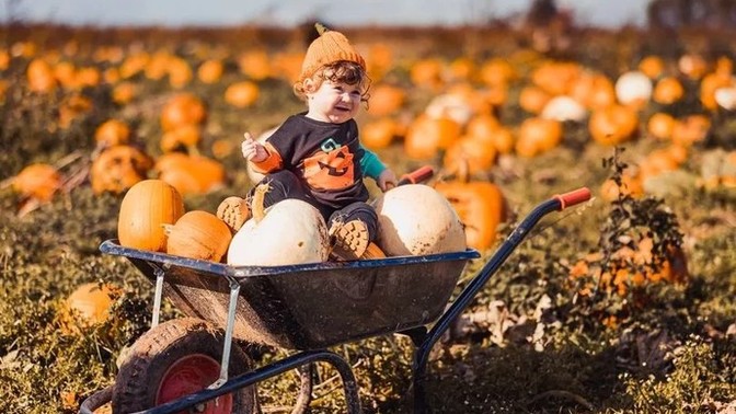 Have you ever visited a pumpkin patch?