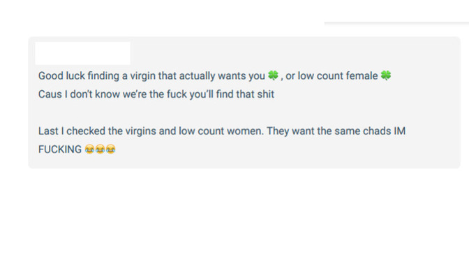 Do you think this person is a woman or a man pretending to be a woman saying this stuff on here?