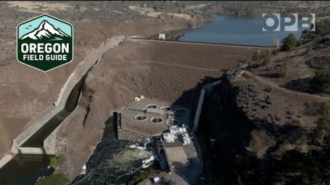 Are You Pro Dams or Anti Dams?
