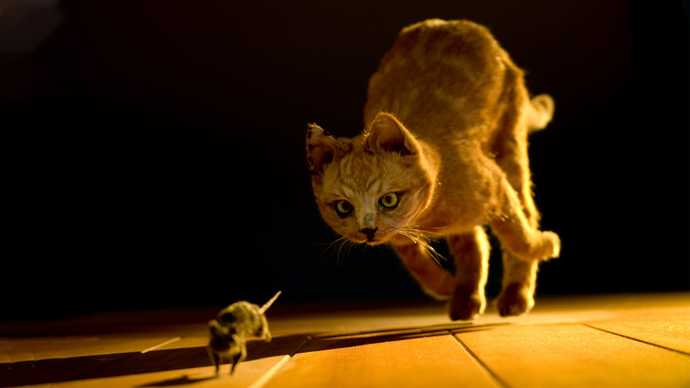 Is it unethical for me to feed my cat live mice to toy with kill and eat ?