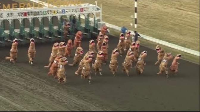 How would you feel if the Dinosaurs had still lived and we had them race for our own amusement?