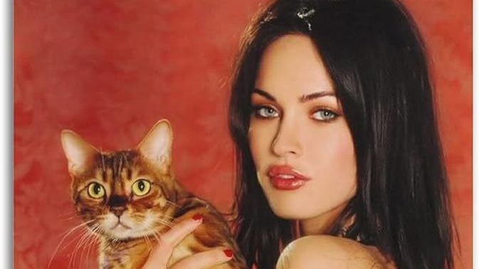 Do guys like girls that look like a cat?