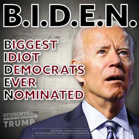 Guys, why did YOU vote for Joey Biden in the primary?