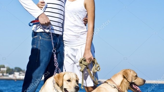 Okay so I want to kiss a girl I’ve been seeing and we’re going on a date walking our dogs any ideas?