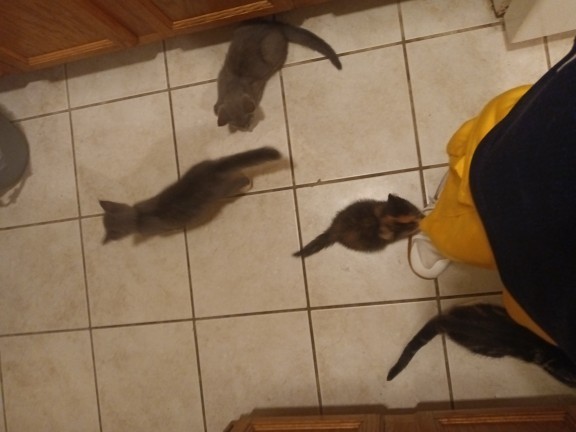 Today is World Mental Health Day. What do you do to improve your mental health?