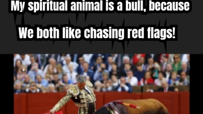 Is there a common red flag that you find attractive?