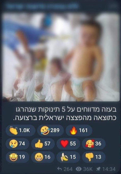 What do you think about this Torah verse?