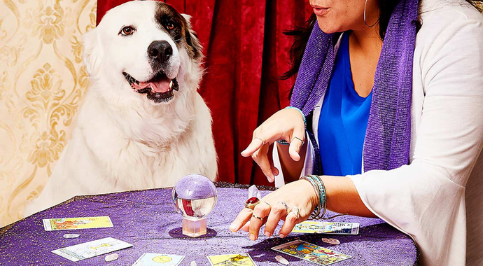 In your opinion, what is the most useless job?