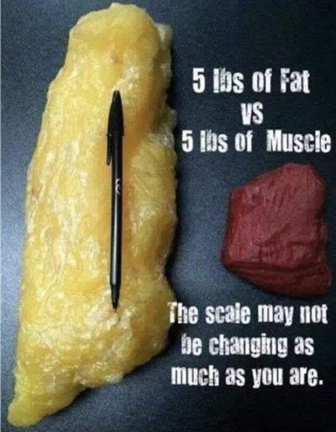 I've decided that I want to lose some weight, which would be the best goal?