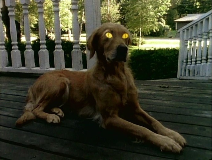 Did you watch Goosebumps as a kid?