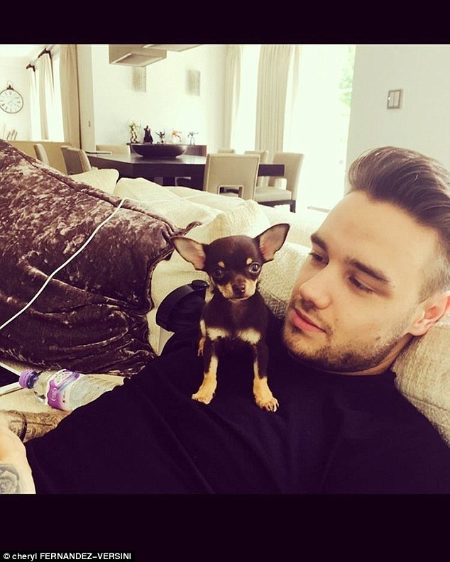 Do you like to see how someone youre dating interacts with pets and animals?