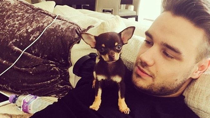 Do you like to see how someone you're dating interacts with pets and animals?