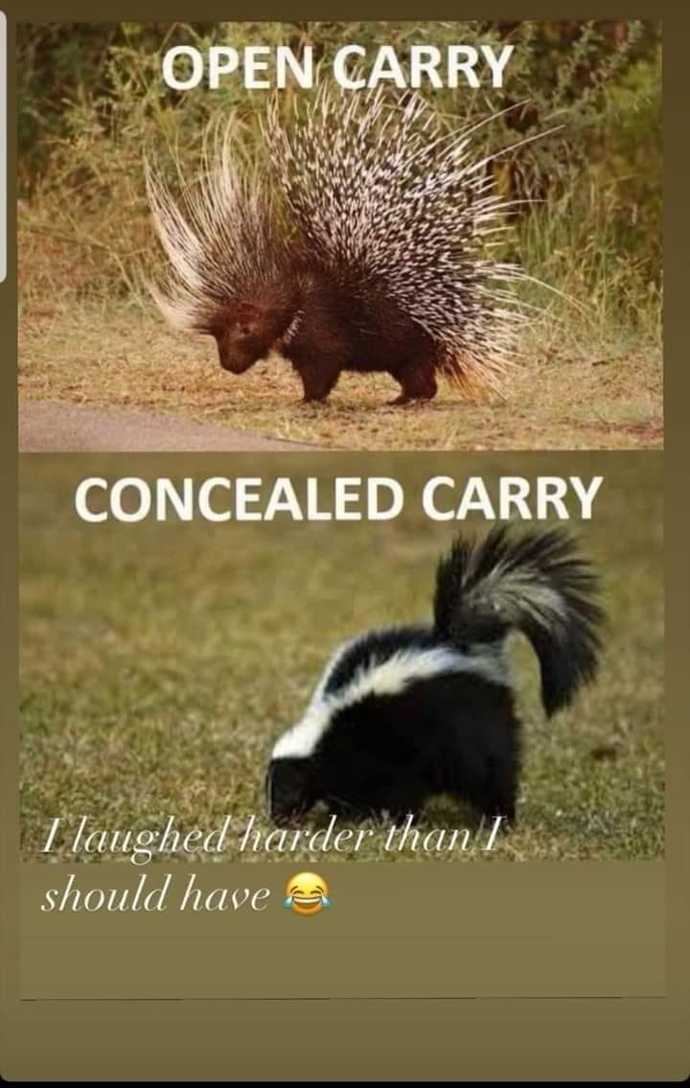 Ladies, do you carry?