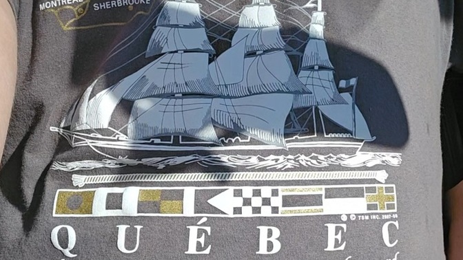 What do you guys think of my new favorite shirt?