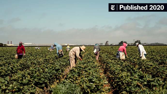 Are the costs of illegal immigration “self-imposed”?