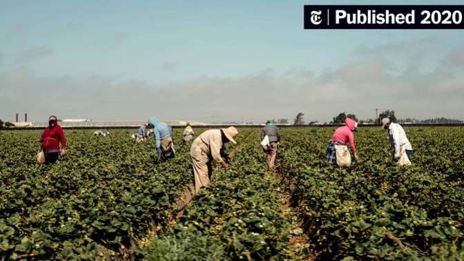 Are the costs of illegal immigration “self-imposed”?