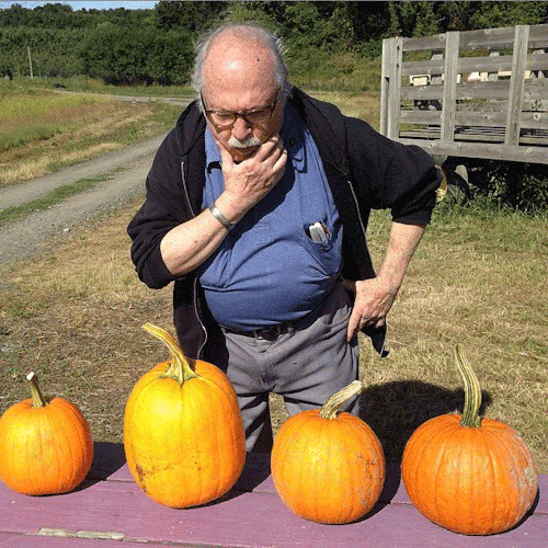 How do you decorate your Jack o Lanterns?
