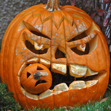 How do you decorate your Jack o Lanterns?