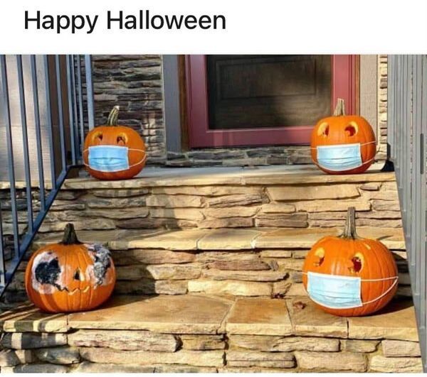 What do you think of these pumpkins?