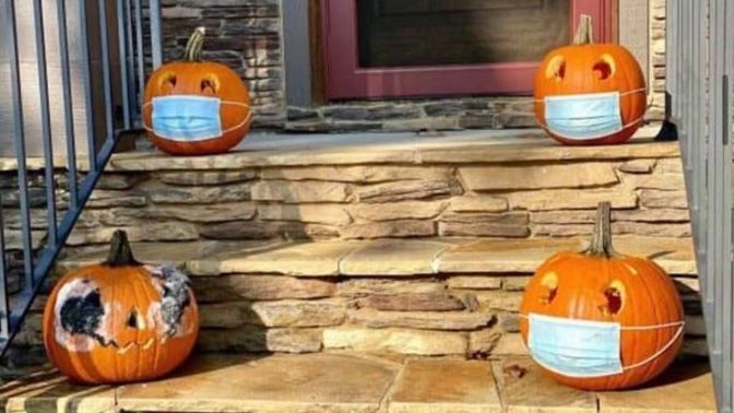 What do you think of these pumpkins?