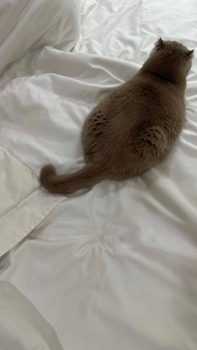 My baby Plump