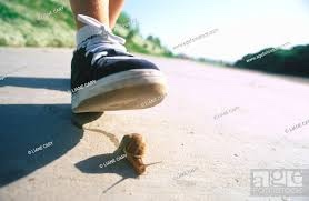 Will you step on a snail for money?