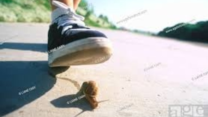 Will you step on a snail for money?