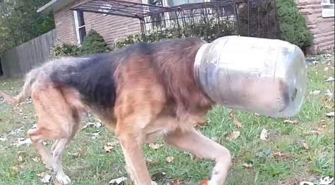 Dont you hate it when you get your head stuck in a cheese puff container?