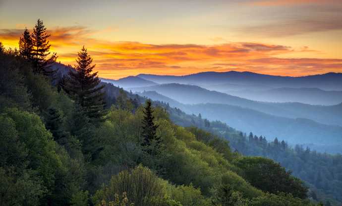 Which landscape do you find more beautiful ?