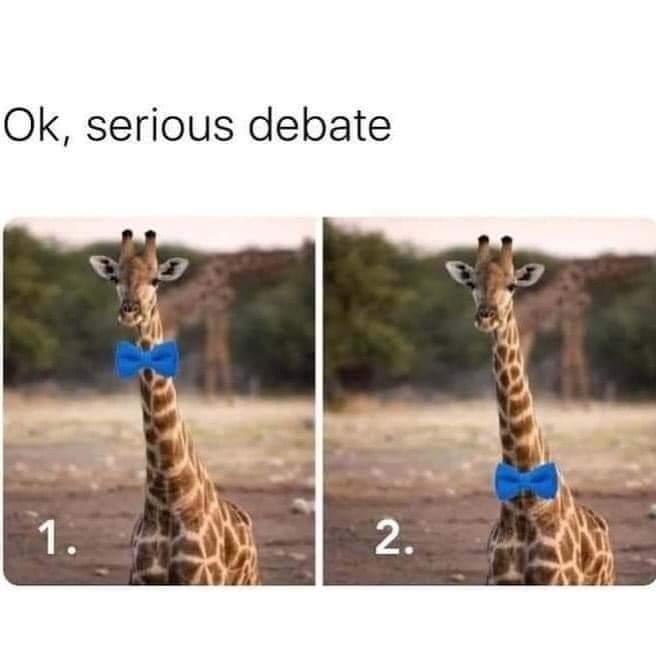 What is the correct way?