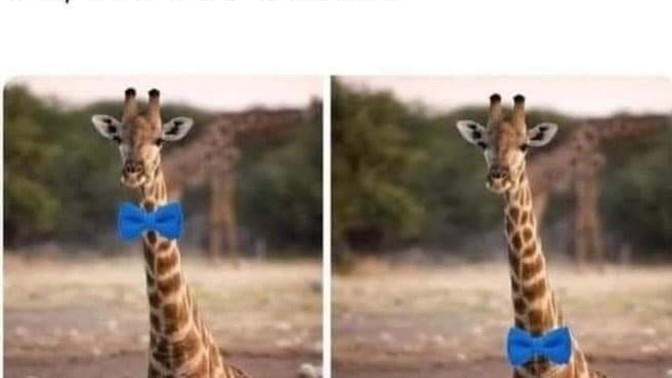 What is the correct way?