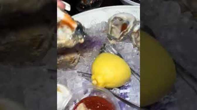 What do you think of Oyster GIrl?