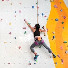 Have you been rock climbing, if not would you do it?
