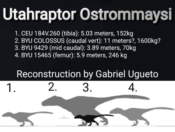 If you were a Dinosaur, which would you be?