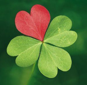 Do you enjoy the feeling of being lucky to have someone or do you like your partner being lucky to have you more?