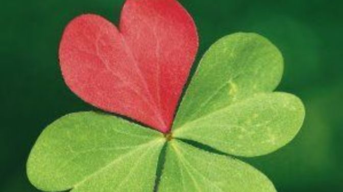 Do you enjoy the feeling of being lucky to have someone or do you like your partner being lucky to have you more?
