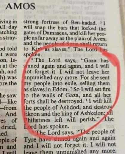 Why should Palestine children suffer because of Hamas?