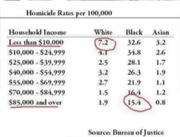 Statistically why are African Americans more prone to failing high school, getting into drugs / gangs, and committing crimes than others?