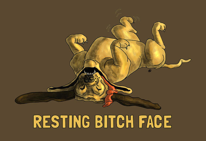 Do you have a Resting B*tch face?