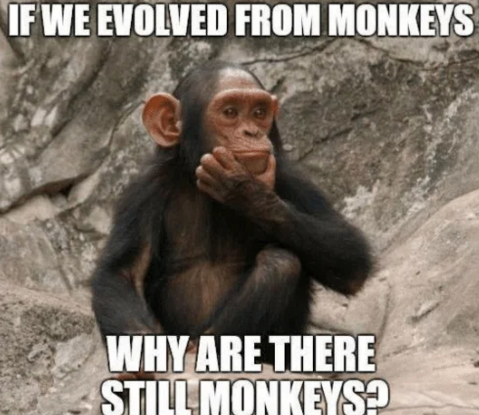 I'm an atheist who doesn't accept the theory of biological evolution. Is that unusual?