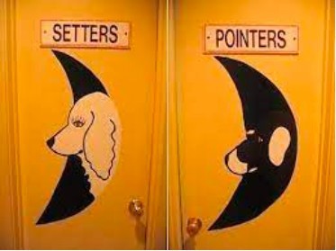 Have you ever been confused what toilet to use?