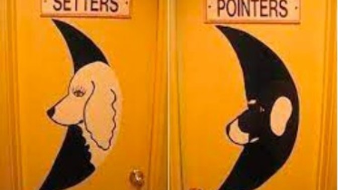 Have you ever been confused what toilet to use?