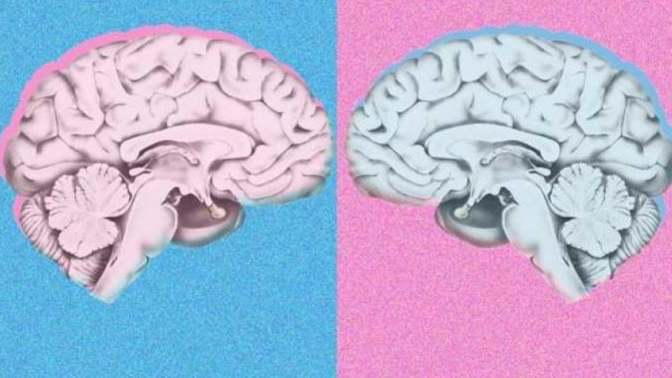 Do you believe there is such thing as having a male or female brain?
